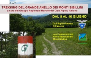 GAS 9 16 giugno2024