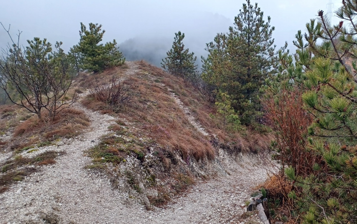 Val di Bertone