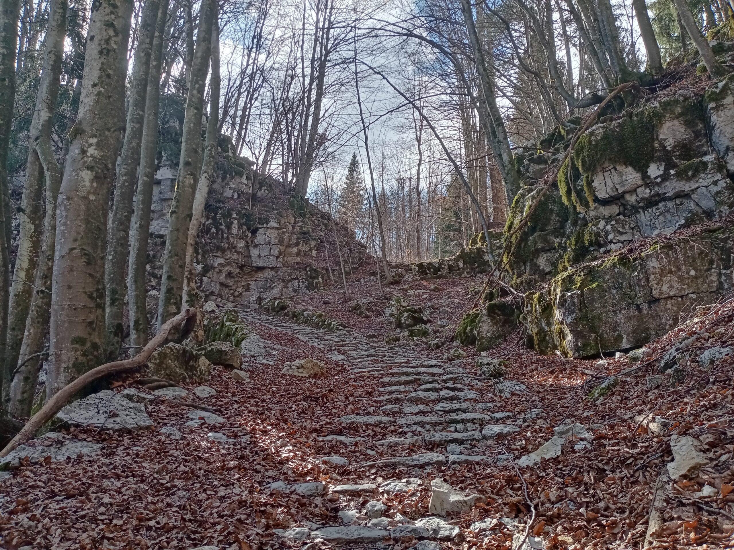 2.aDOM14APRILE024