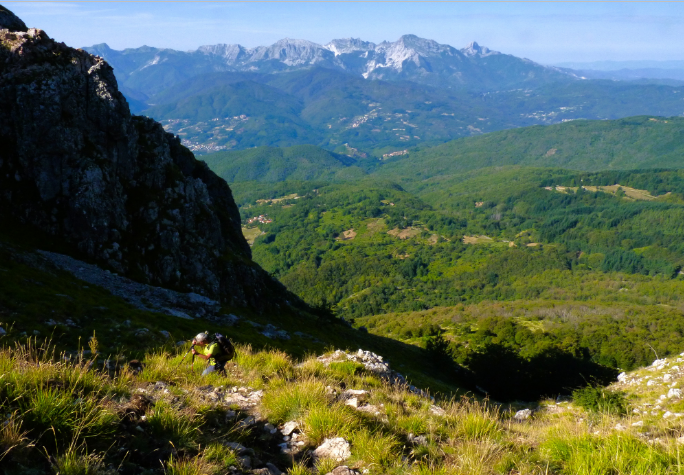 2024 06 08 Orecchiella