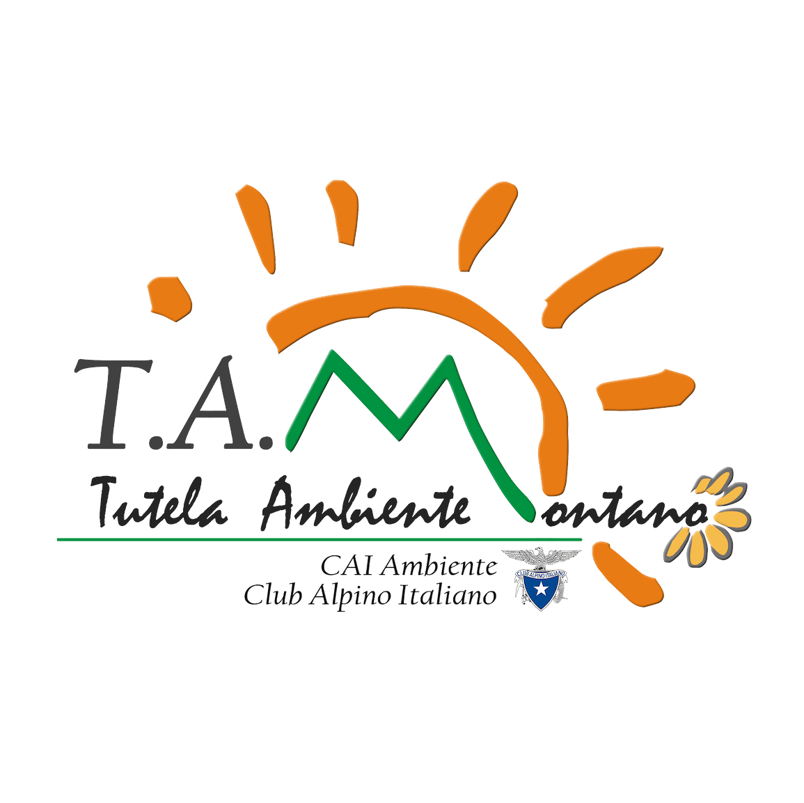 TAM