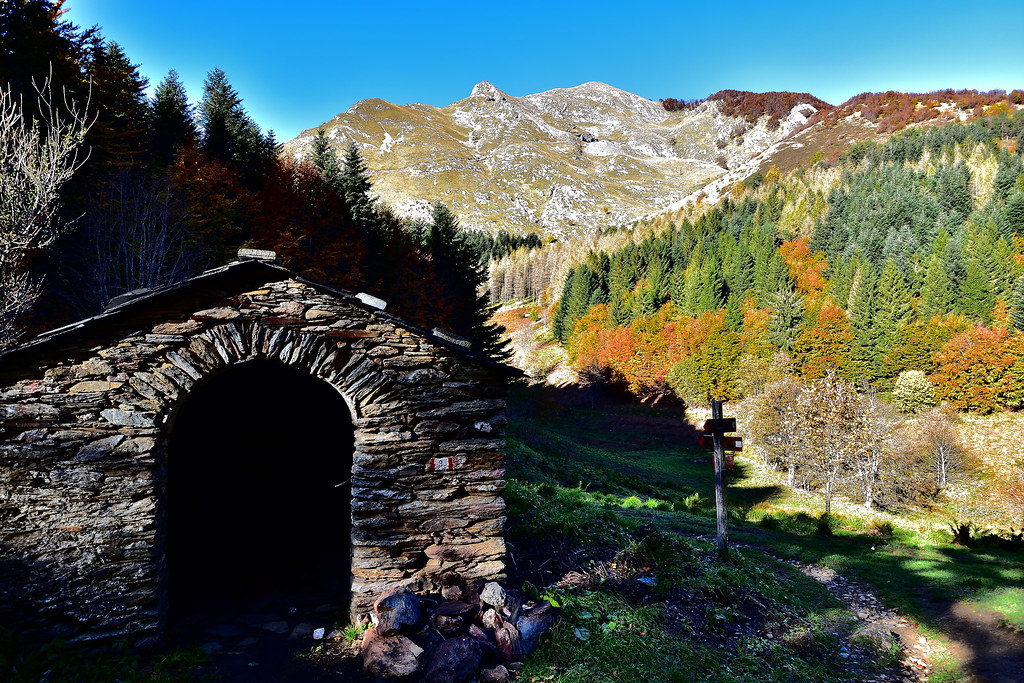 foce mosceta