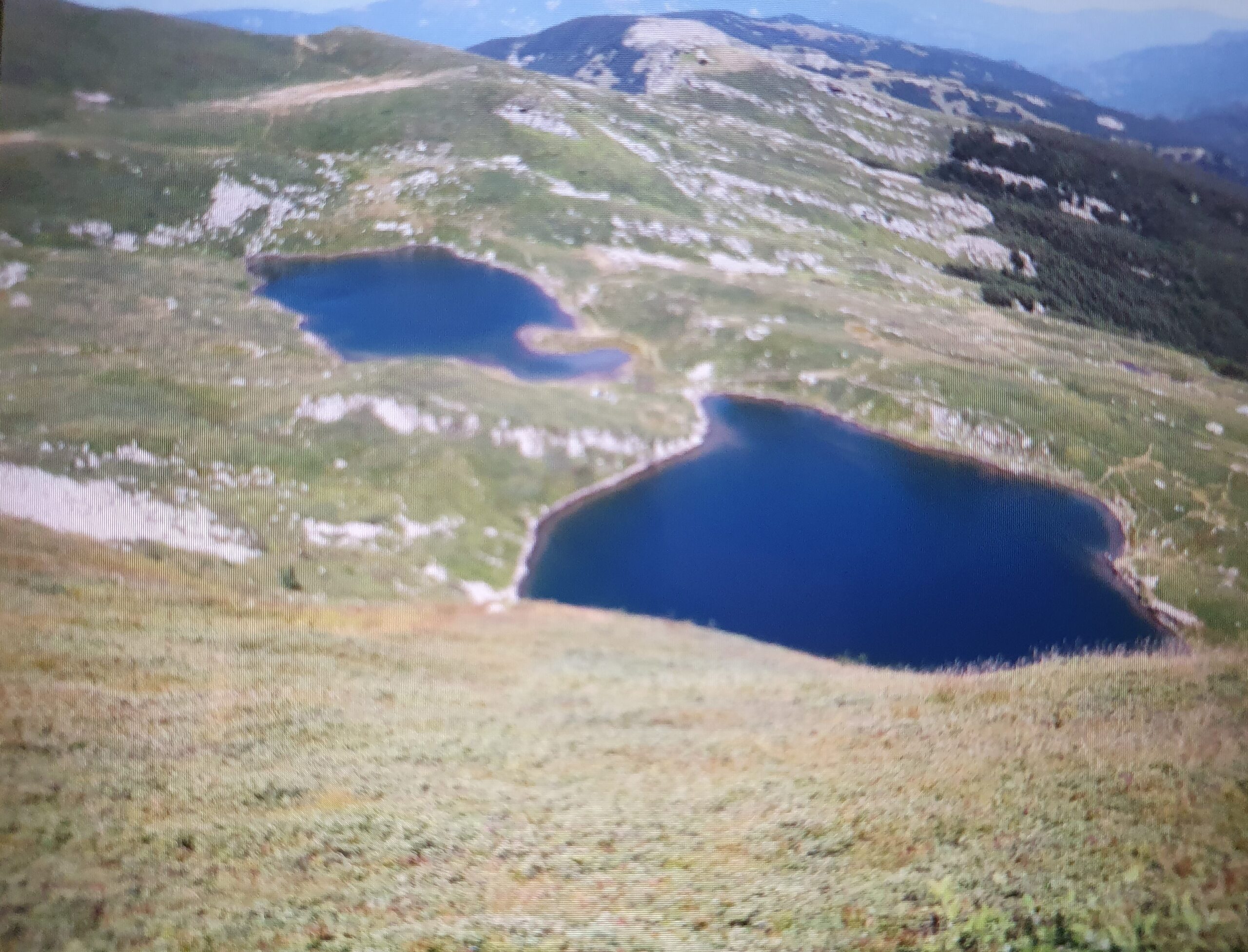 Capozzi