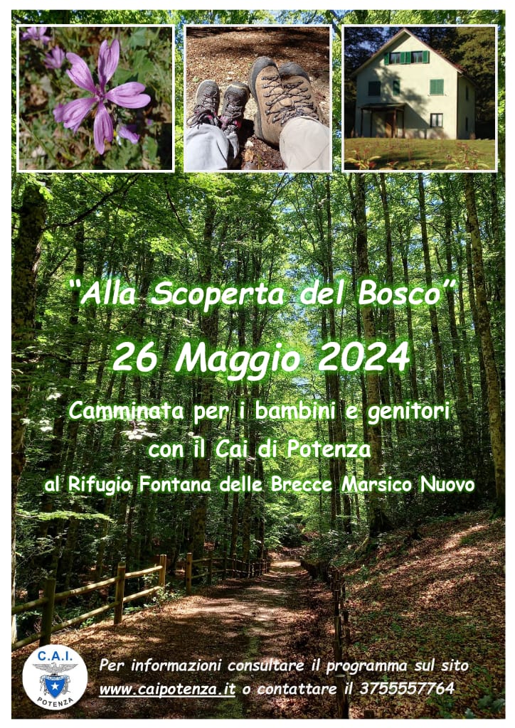Immagine WhatsApp 2024 05 20 ore 13.23.43 8586e211