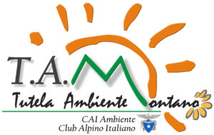 TAM approvato MEDIA scaled 1
