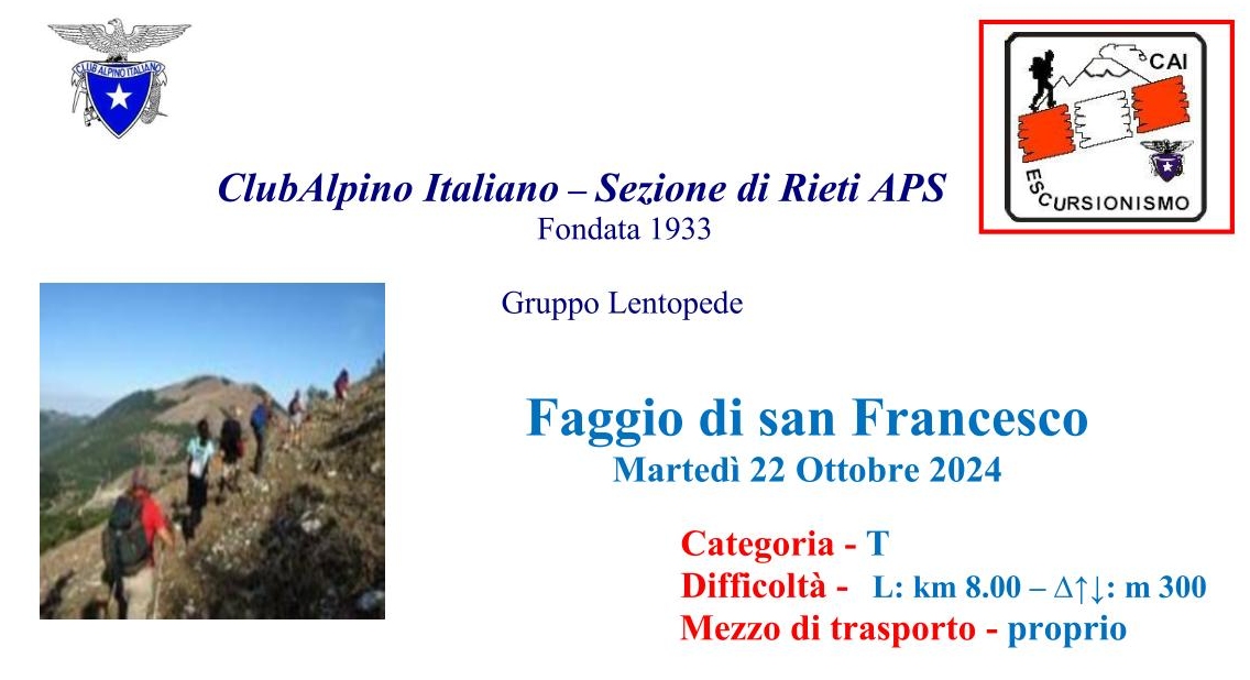 10 22 LP faggio san Francesco 2024 small