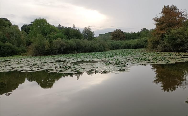 Padule di Bientina