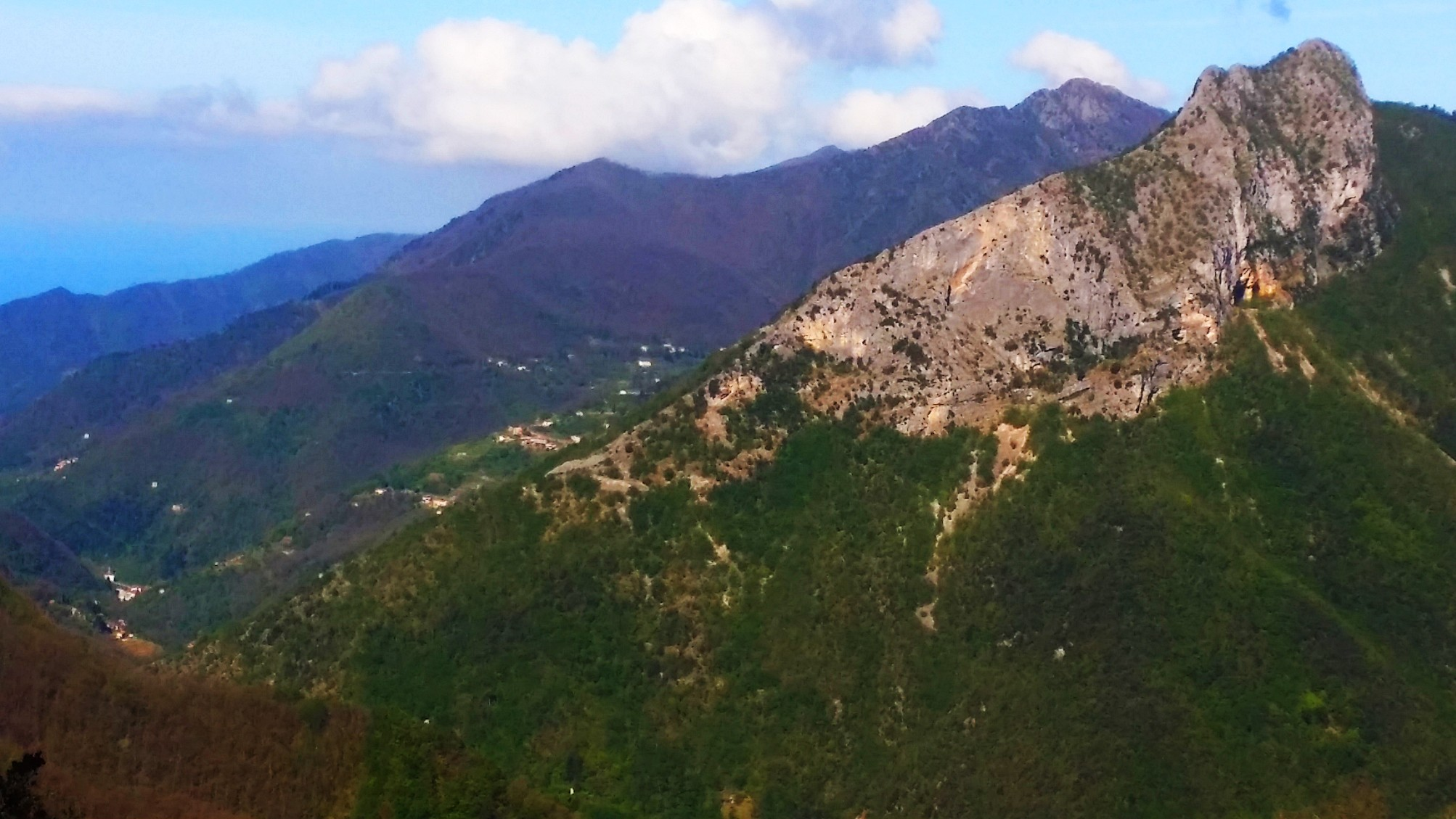 monte alto